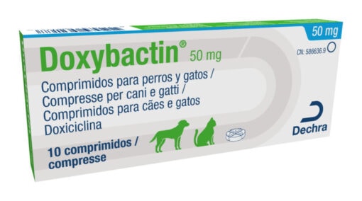 Doxybactin