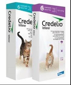 Credelio®, premier comprimé pour chat contre les puces et les tiques - Le  Point Vétérinaire.fr